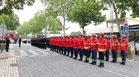 Bombeiros de Ftima criam linha de apoio  populao (COVID-19)